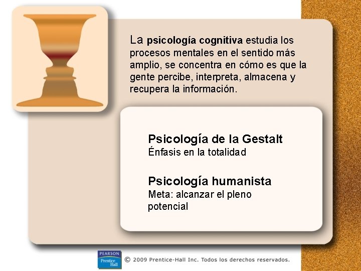 La psicología cognitiva estudia los procesos mentales en el sentido más amplio, se concentra