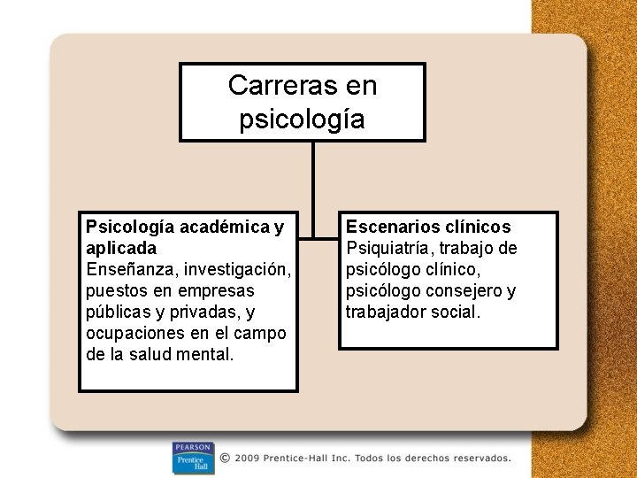 Carreras en psicología Psicología académica y aplicada Enseñanza, investigación, puestos en empresas públicas y