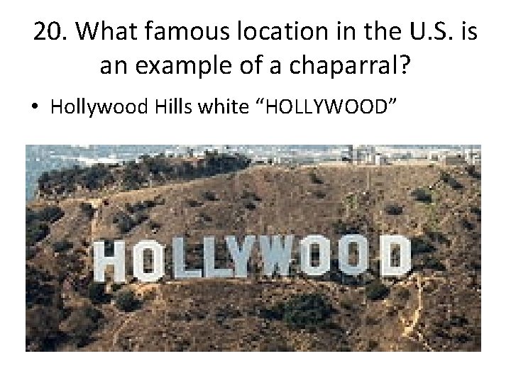 20. What famous location in the U. S. is an example of a chaparral?