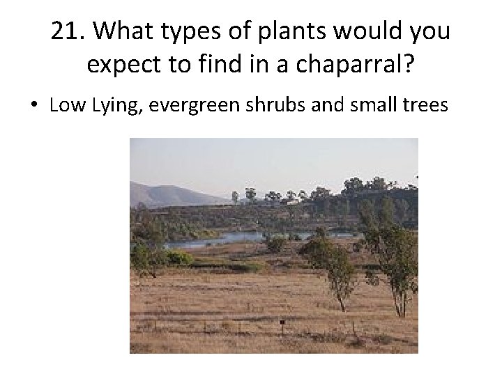 21. What types of plants would you expect to find in a chaparral? •