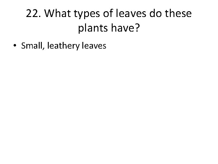 22. What types of leaves do these plants have? • Small, leathery leaves 