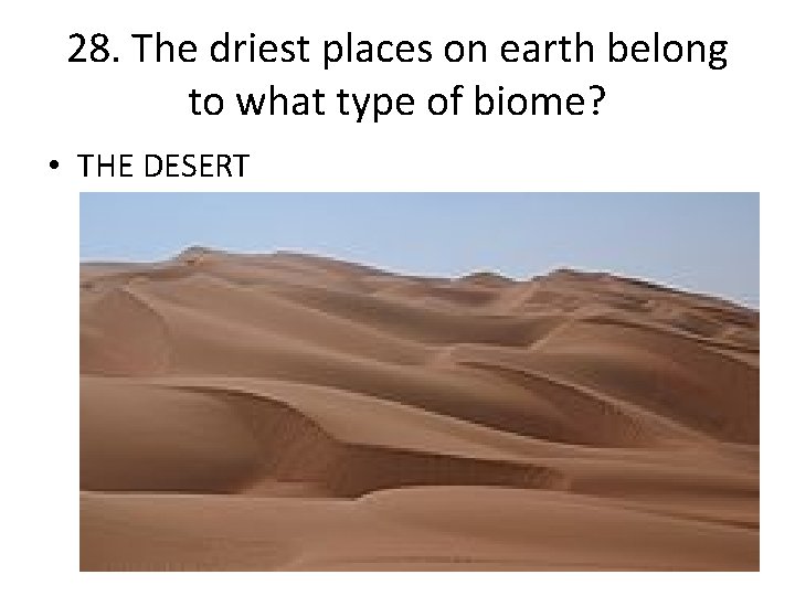 28. The driest places on earth belong to what type of biome? • THE