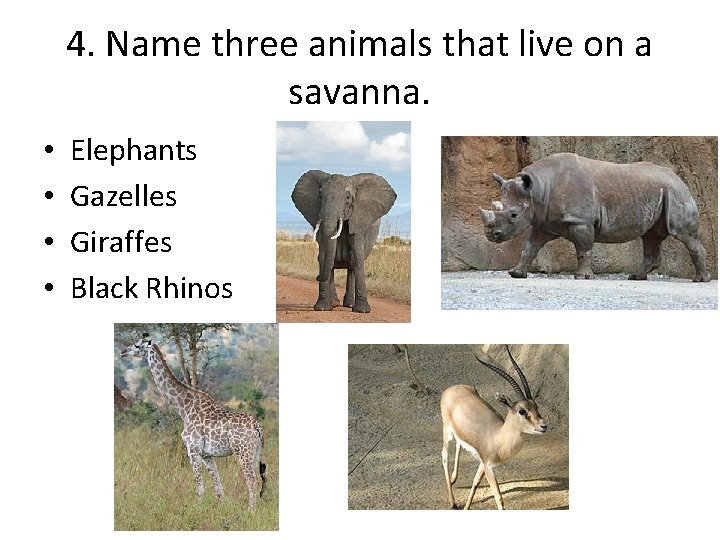 4. Name three animals that live on a savanna. • • Elephants Gazelles Giraffes