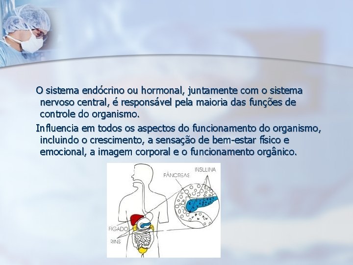  O sistema endócrino ou hormonal, juntamente com o sistema nervoso central, é responsável
