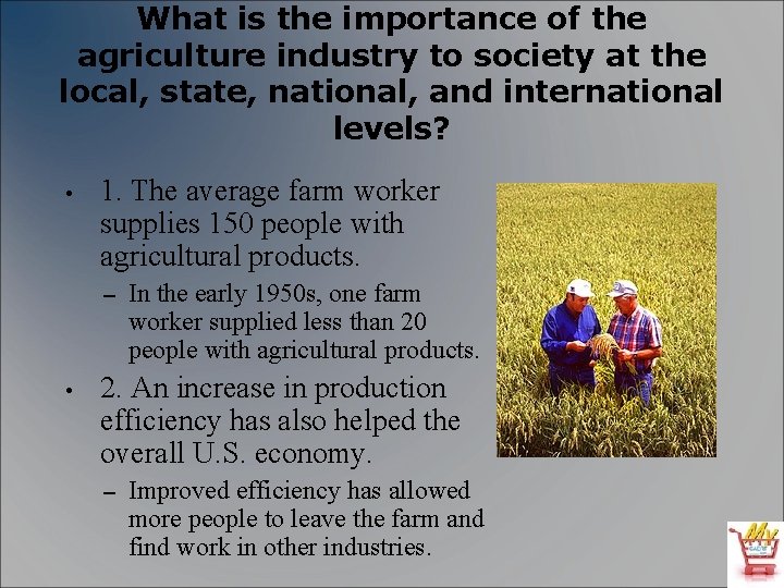 What is the importance of the agriculture industry to society at the local, state,