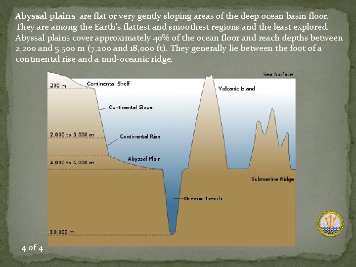 Abyssal plains are flat or very gently sloping areas of the deep ocean basin