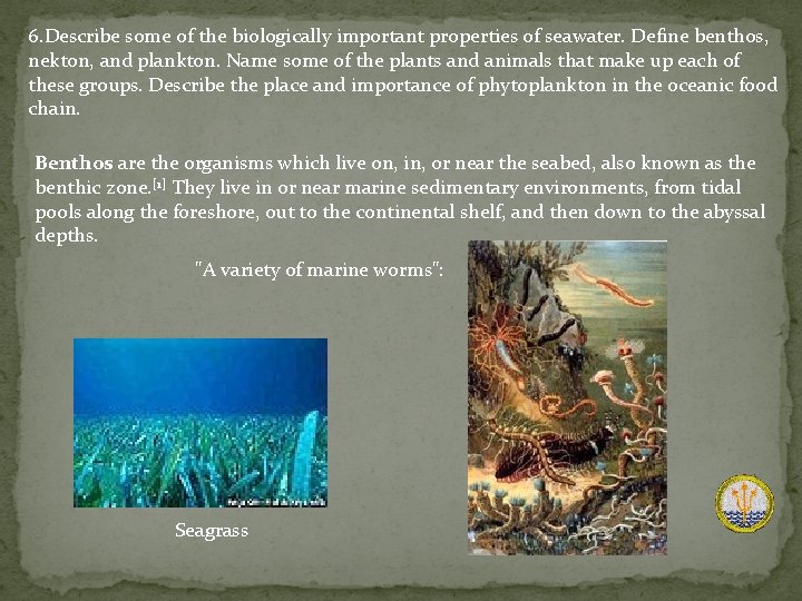 6. Describe some of the biologically important properties of seawater. Define benthos, nekton, and