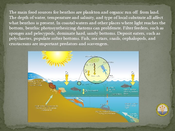 The main food sources for benthos are plankton and organic run off from land.
