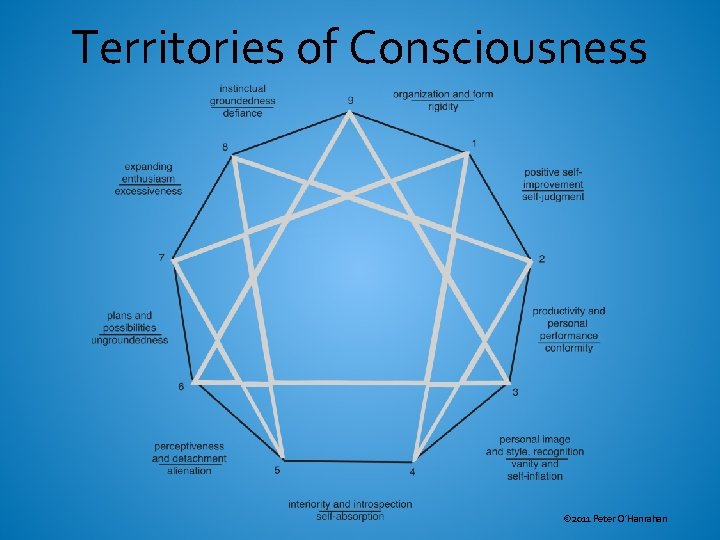 Territories of Consciousness © 2011 Peter O’Hanrahan 