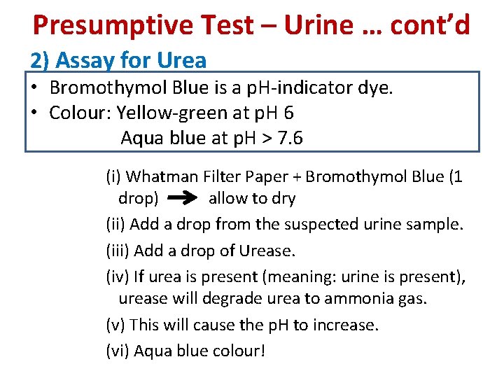 Presumptive Test – Urine … cont’d 2) Assay for Urea • Bromothymol Blue is