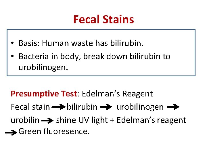 Fecal Stains • Basis: Human waste has bilirubin. • Bacteria in body, break down
