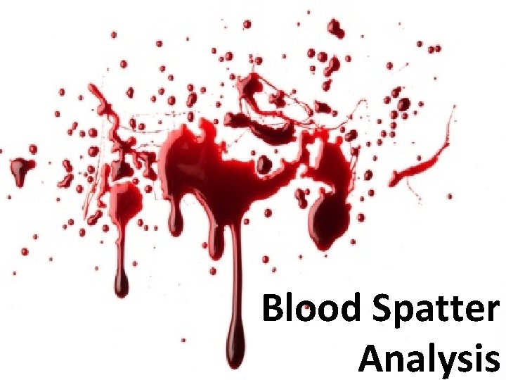 Blood Spatter Analysis 