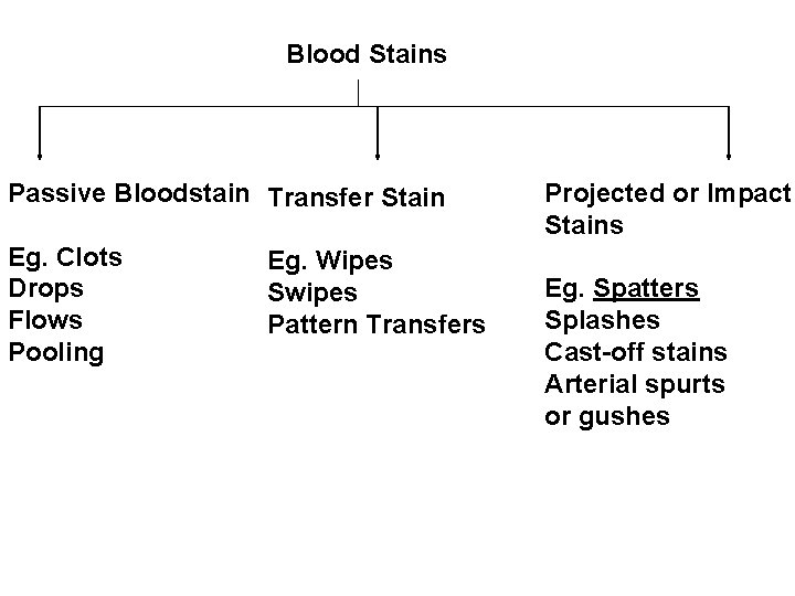 Blood Stains Passive Bloodstain Transfer Stain Eg. Clots Drops Flows Pooling Eg. Wipes Swipes