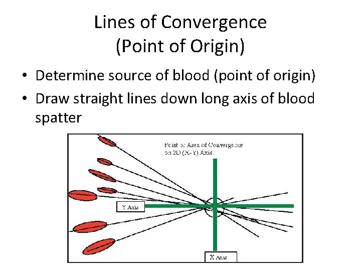 Lines of Convergence (Point of Origin) • Determine source of blood (point of origin)