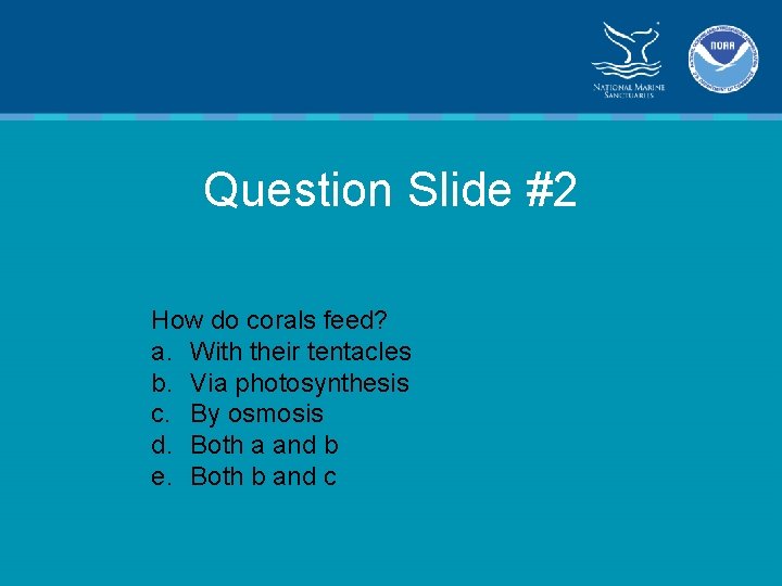 Question Slide #2 How do corals feed? a. With their tentacles b. Via photosynthesis
