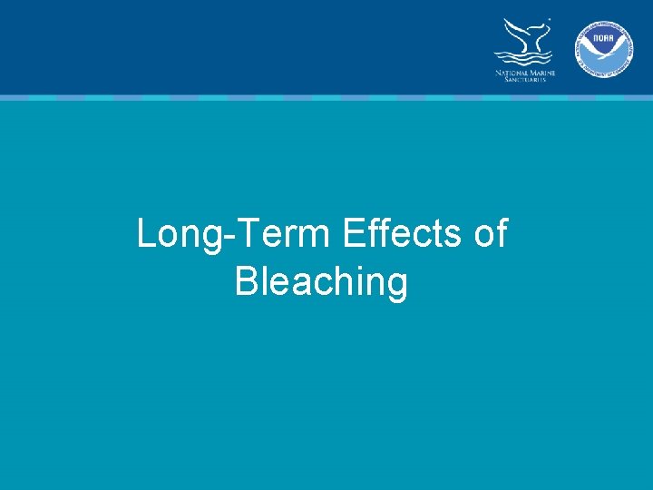 Long-Term Effects of Bleaching 