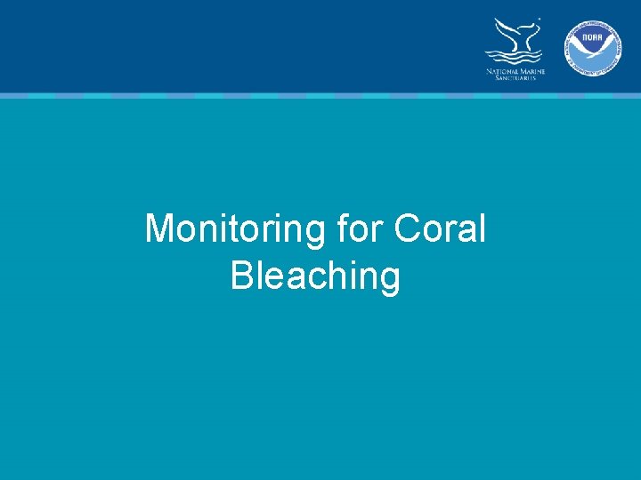 Monitoring for Coral Bleaching 