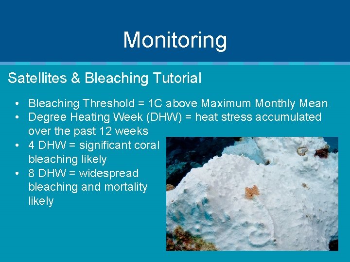 Monitoring Satellites & Bleaching Tutorial • Bleaching Threshold = 1 C above Maximum Monthly