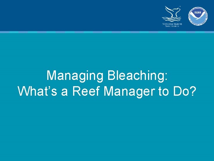 Managing Bleaching: What’s a Reef Manager to Do? 