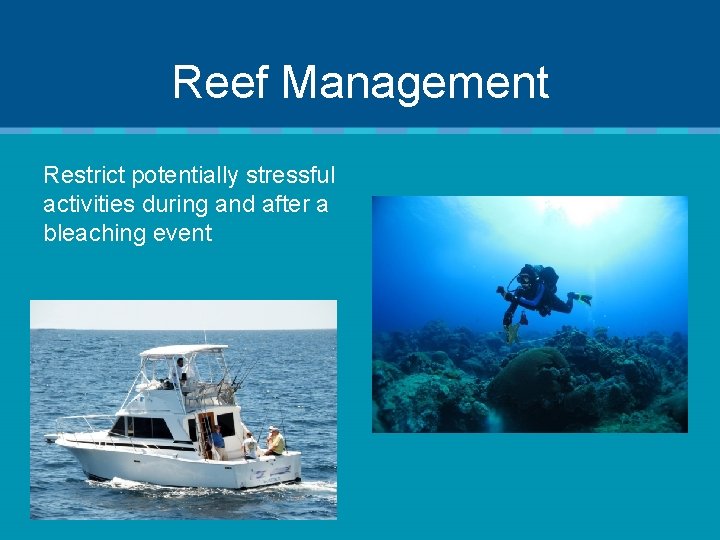 Reef Management Restrict potentially stressful activities during and after a bleaching event 