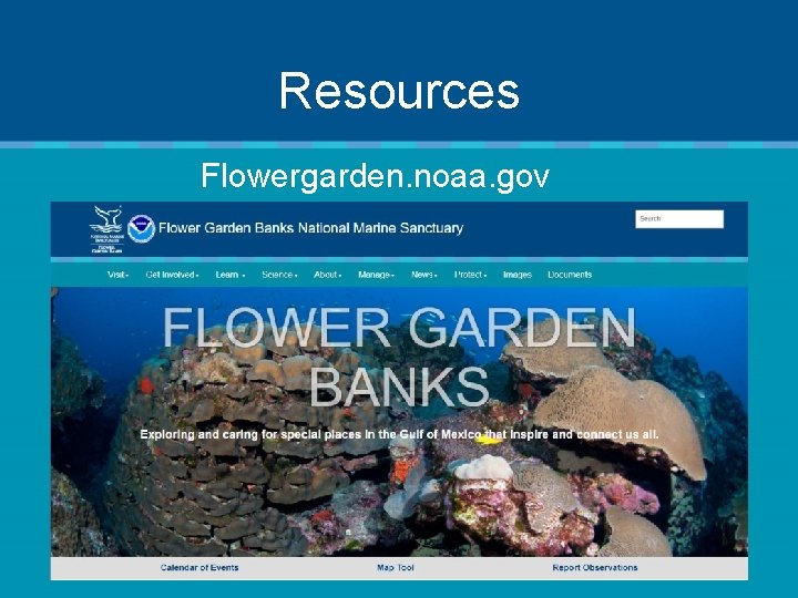 Resources Flowergarden. noaa. gov 