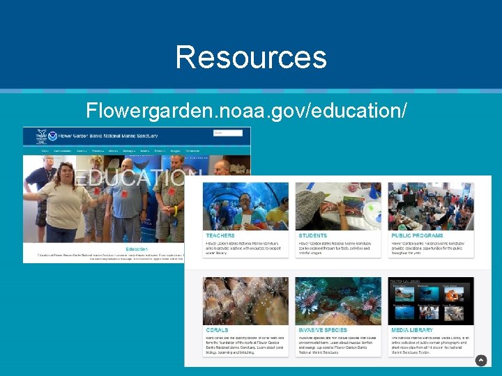 Resources Flowergarden. noaa. gov/education/ 