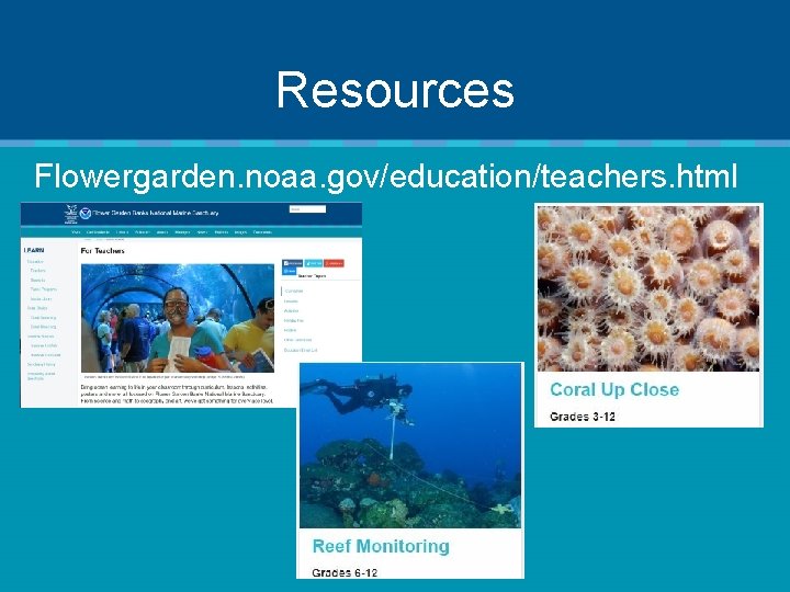 Resources Flowergarden. noaa. gov/education/teachers. html 