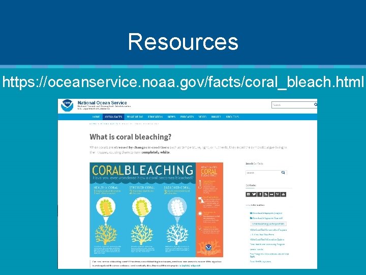 Resources https: //oceanservice. noaa. gov/facts/coral_bleach. html 