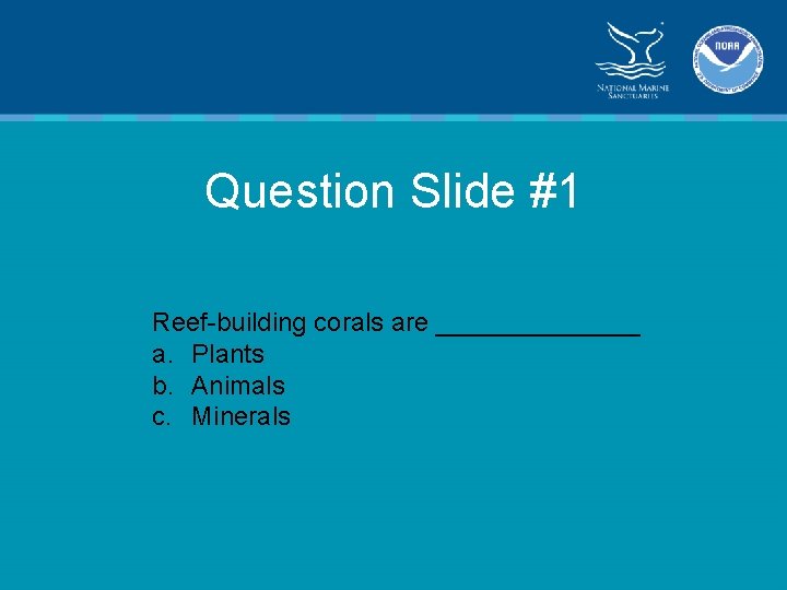 Question Slide #1 Reef-building corals are _______ a. Plants b. Animals c. Minerals 