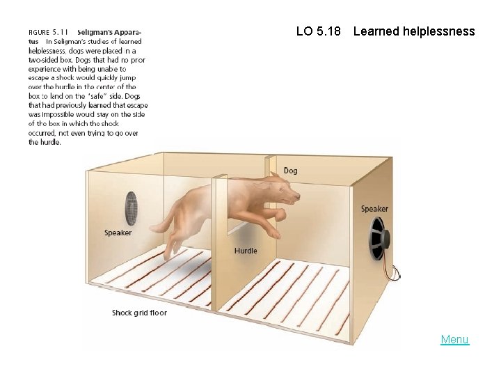 LO 5. 18 Learned helplessness Menu 