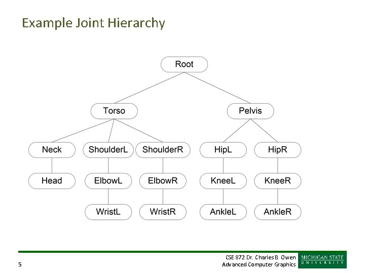Example Joint Hierarchy 5 CSE 872 Dr. Charles B. Owen Advanced Computer Graphics Example Joint Hierarchy 5 CSE 872 Dr. Charles B. Owen Advanced Computer Graphics