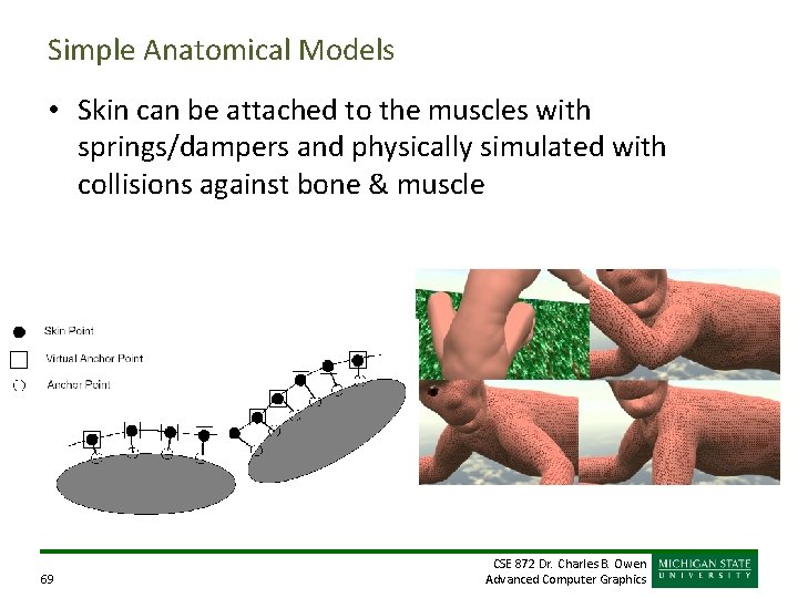 Simple Anatomical Models • Skin can be attached to the muscles with springs/dampers and Simple Anatomical Models • Skin can be attached to the muscles with springs/dampers and