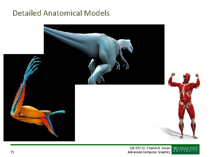 Detailed Anatomical Models 71 CSE 872 Dr. Charles B. Owen Advanced Computer Graphics Detailed Anatomical Models 71 CSE 872 Dr. Charles B. Owen Advanced Computer Graphics
