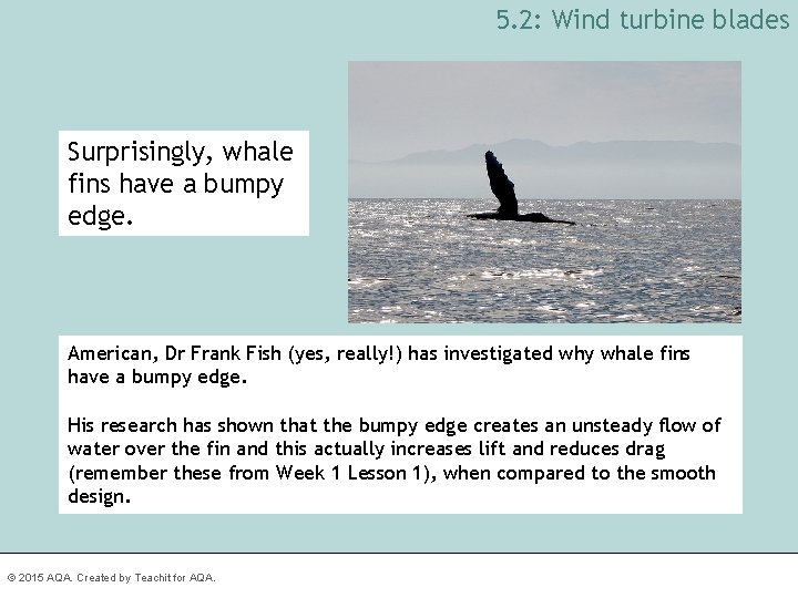 5. 2: Wind turbine blades Surprisingly, whale fins have a bumpy edge. American, Dr