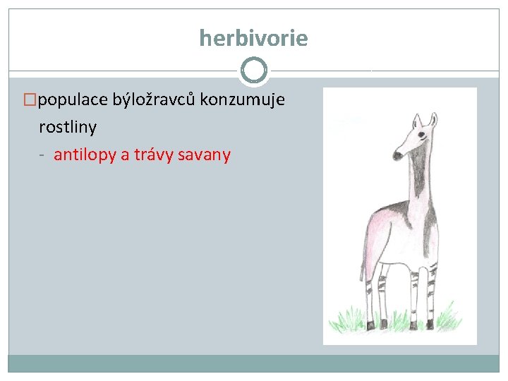 herbivorie �populace býložravců konzumuje rostliny - antilopy a trávy savany 