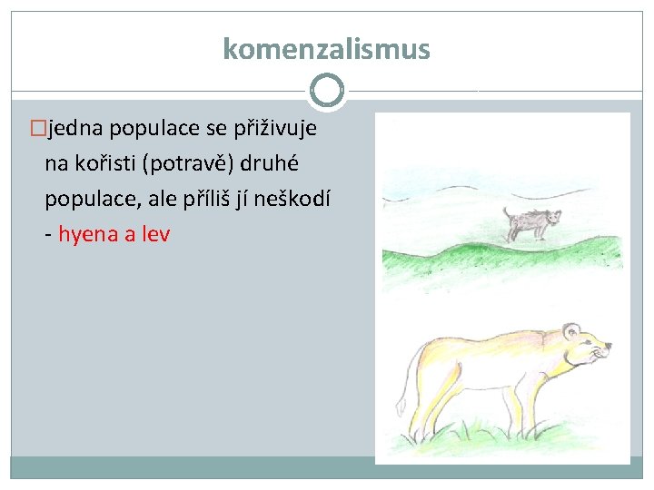 komenzalismus �jedna populace se přiživuje na kořisti (potravě) druhé populace, ale příliš jí neškodí komenzalismus �jedna populace se přiživuje na kořisti (potravě) druhé populace, ale příliš jí neškodí