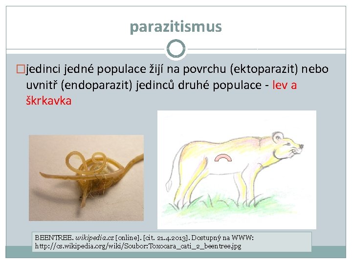 parazitismus �jedinci jedné populace žijí na povrchu (ektoparazit) nebo uvnitř (endoparazit) jedinců druhé populace parazitismus �jedinci jedné populace žijí na povrchu (ektoparazit) nebo uvnitř (endoparazit) jedinců druhé populace