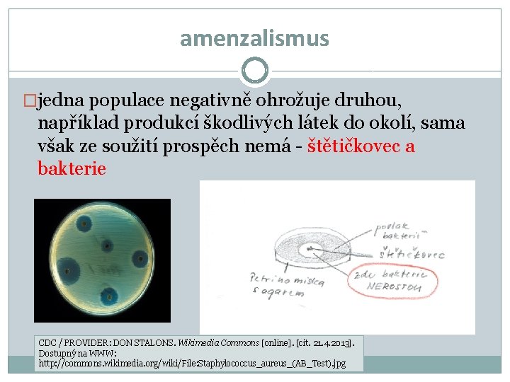 amenzalismus �jedna populace negativně ohrožuje druhou, například produkcí škodlivých látek do okolí, sama však amenzalismus �jedna populace negativně ohrožuje druhou, například produkcí škodlivých látek do okolí, sama však