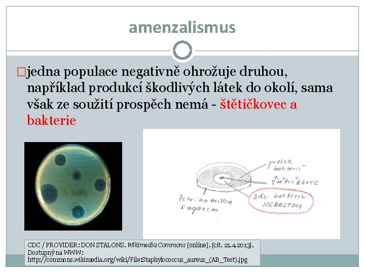 amenzalismus �jedna populace negativně ohrožuje druhou, například produkcí škodlivých látek do okolí, sama však