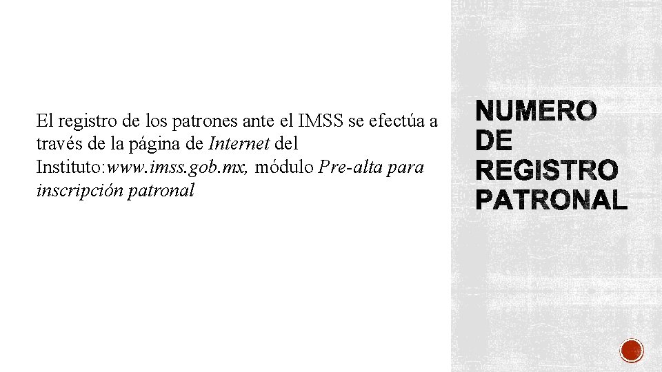 El registro de los patrones ante el IMSS se efectúa a través de la