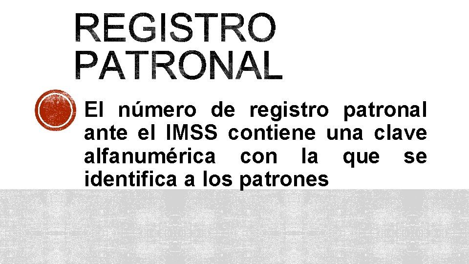 El número de registro patronal ante el IMSS contiene una clave alfanumérica con la