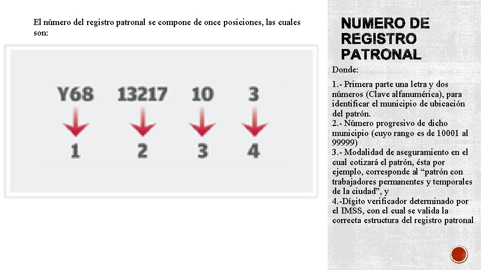 El número del registro patronal se compone de once posiciones, las cuales son: Donde: