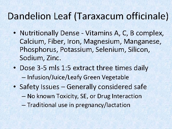 Dandelion Leaf (Taraxacum officinale) • Nutritionally Dense - Vitamins A, C, B complex, Calcium,