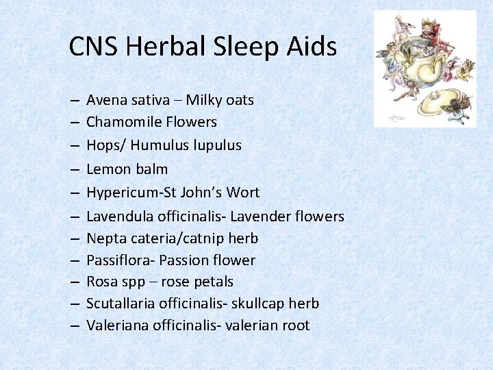 CNS Herbal Sleep Aids – – – Avena sativa – Milky oats Chamomile Flowers