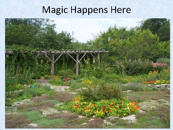 Magic Happens Here 