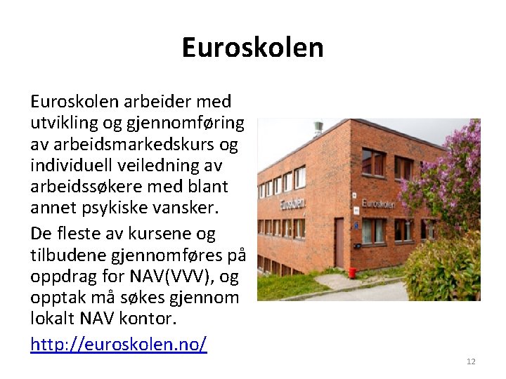 Euroskolen arbeider med utvikling og gjennomføring av arbeidsmarkedskurs og individuell veiledning av arbeidssøkere med