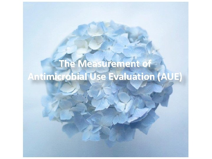 The Measurement of Antimicrobial Use Evaluation (AUE) 