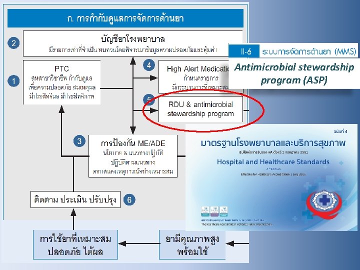 Antimicrobial stewardship program (ASP) 