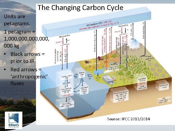 The Changing Carbon Cycle Units are petagrams. 1 petagram = 1, 000, 000 kg