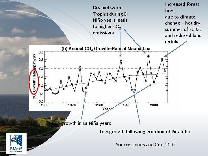 Dry and warm Tropics during El Niño years leads to higher CO 2 emissions